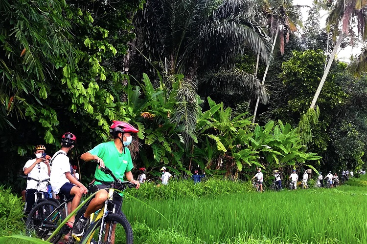 Salak agro cycling